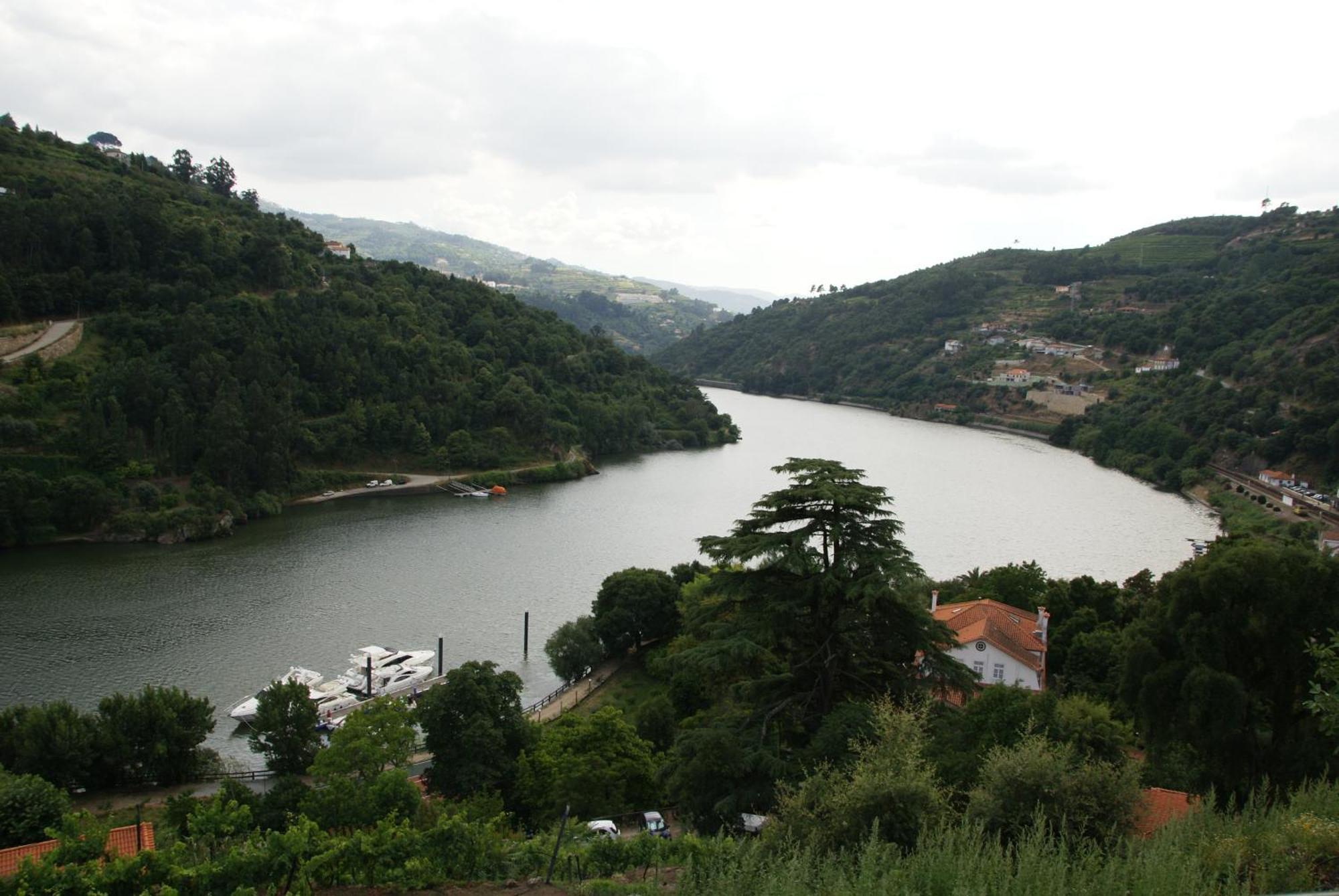 Quinta Da Ermida - Turismo De Habitacao Bed and Breakfast Baião Eksteriør billede