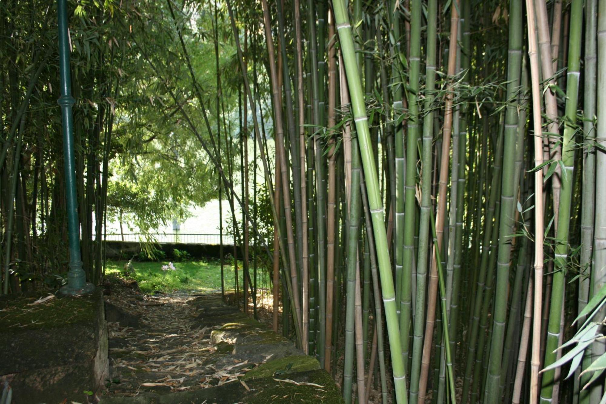 Quinta Da Ermida - Turismo De Habitacao Bed and Breakfast Baião Eksteriør billede