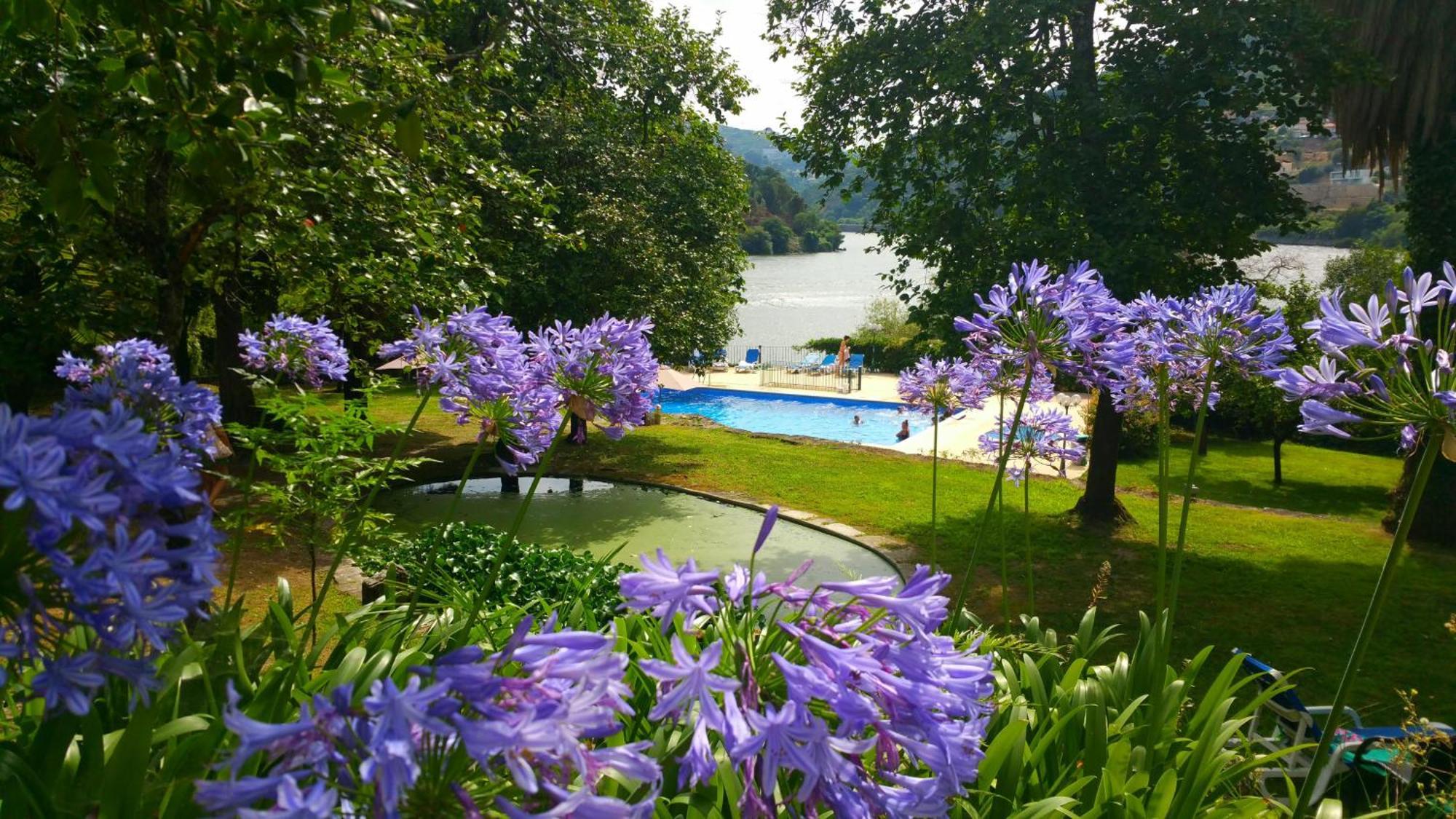 Quinta Da Ermida - Turismo De Habitacao Bed and Breakfast Baião Eksteriør billede